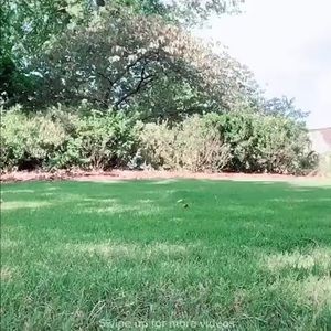 Meet your Posher, Asia